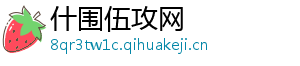 什围伍攻网